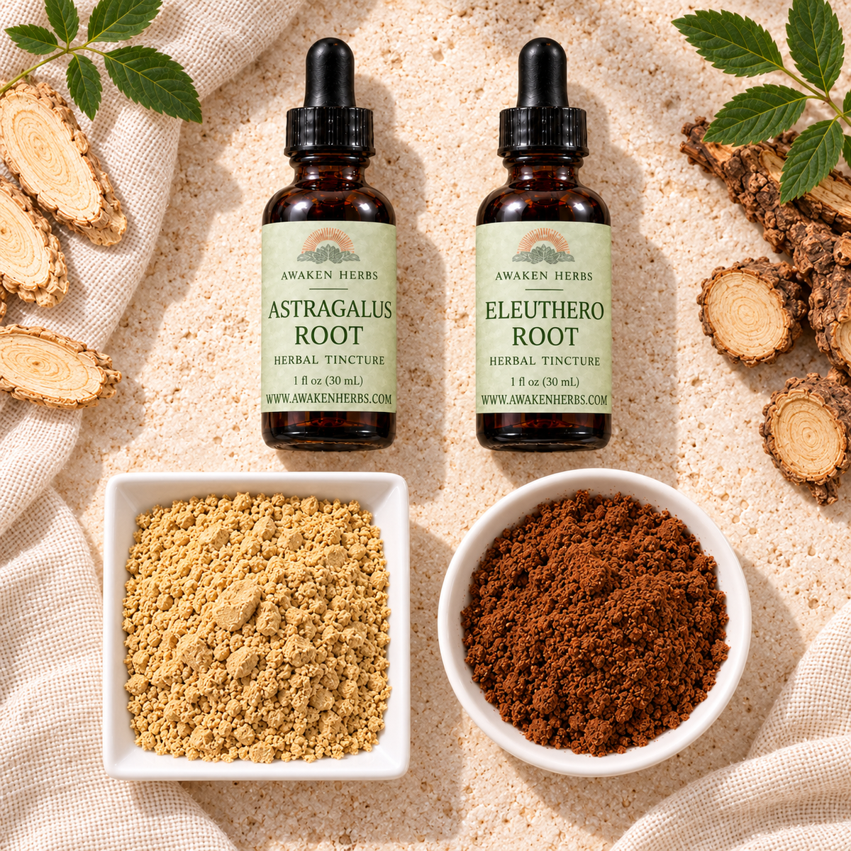 Forest & Root Bundle: Astragalus Root and Eleuthero Root tinctures with separate dishes of Lion's Mane and Red Reishi mushroom powders. View 3.