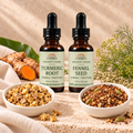 Golden Hour Bundle: Turmeric Root and Fennel Seed tinctures with separate bowls of cut Ginger Root and Fireside Chai Tea.