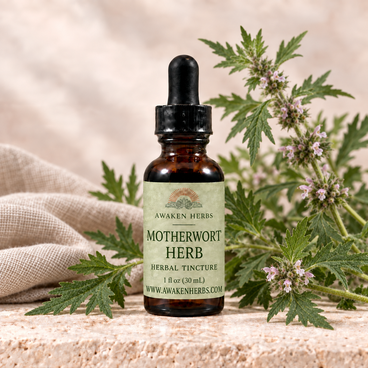 Awaken Herbs Motherwort Herb Tincture, 1 fl oz bottle with motherwort