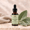 Awaken Herbs Mullein Leaf Tincture, 1 fl oz bottle with mullein leaves