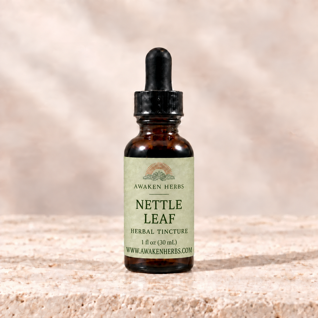 Awaken Herbs Nettle Leaf Tincture, 1 fl oz bottle on pale stone