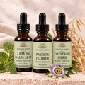 Quiet Evening Bundle: Lemon Balm Leaf, Passion Flower and Oatstraw Herb tinctures with botanical styling.
