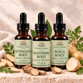 Roots & Rhymes Bundle: Astragalus Root, Eleuthero Root and Maca Root tinctures with botanical styling.
