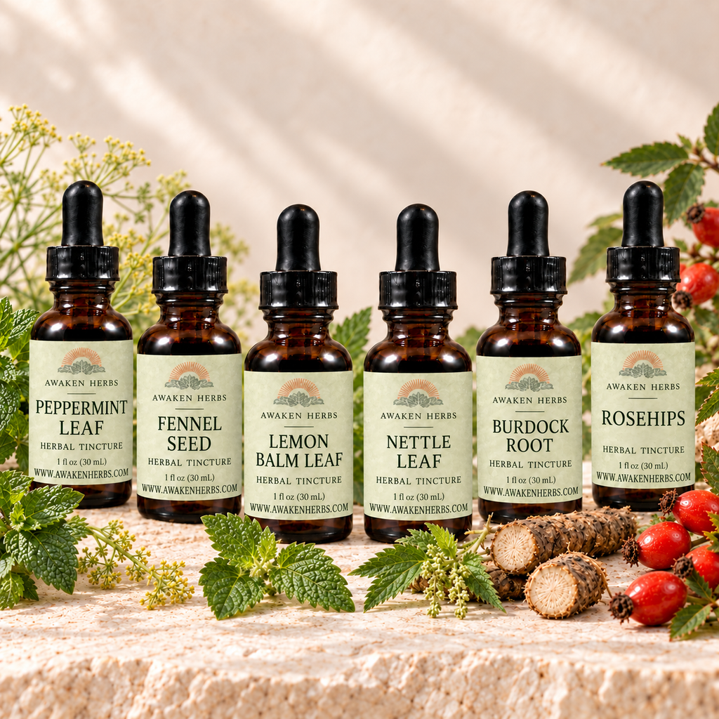 The Tincture Cabinet: six labeled 1 fl oz bottles of Peppermint Leaf, Fennel Seed, Lemon Balm Leaf, Nettle Leaf, Burdock Root and Rosehips tinctures. View 1.