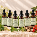The Tincture Cabinet: six labeled 1 fl oz bottles of Peppermint Leaf, Fennel Seed, Lemon Balm Leaf, Nettle Leaf, Burdock Root and Rosehips tinctures. View 1.