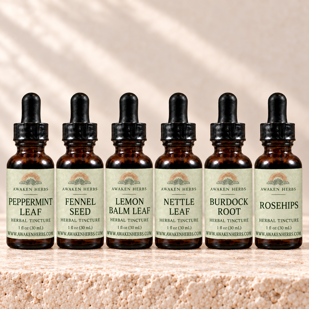 The Tincture Cabinet: six labeled 1 fl oz bottles of Peppermint Leaf, Fennel Seed, Lemon Balm Leaf, Nettle Leaf, Burdock Root and Rosehips tinctures. View 2.