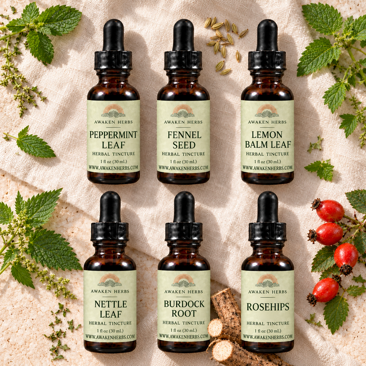The Tincture Cabinet: six labeled 1 fl oz bottles of Peppermint Leaf, Fennel Seed, Lemon Balm Leaf, Nettle Leaf, Burdock Root and Rosehips tinctures. View 3.