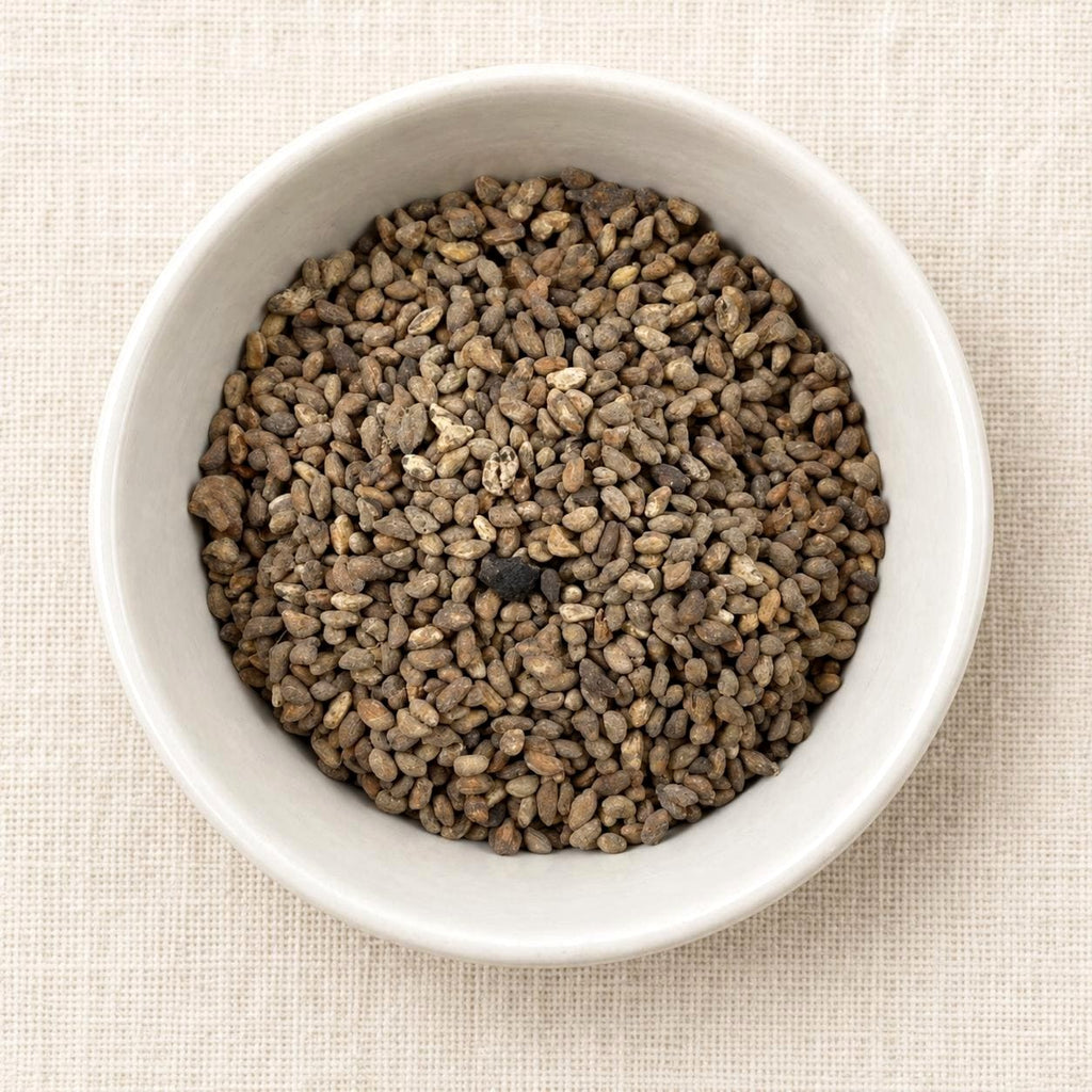 Voacanga Africana Whole Seeds