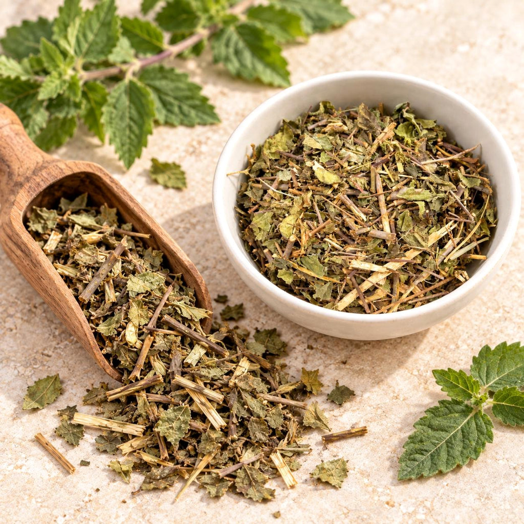 Prodigiosa Tea | Rough Cut