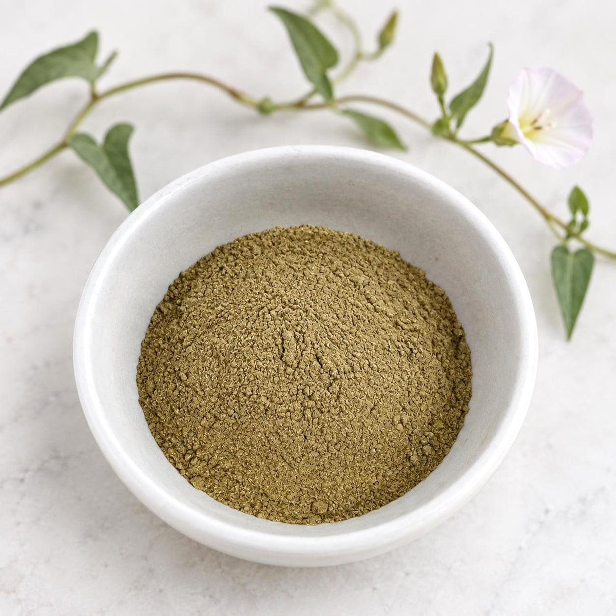 Shankhapushpi Powder (Convolvulus pluricaulis)
