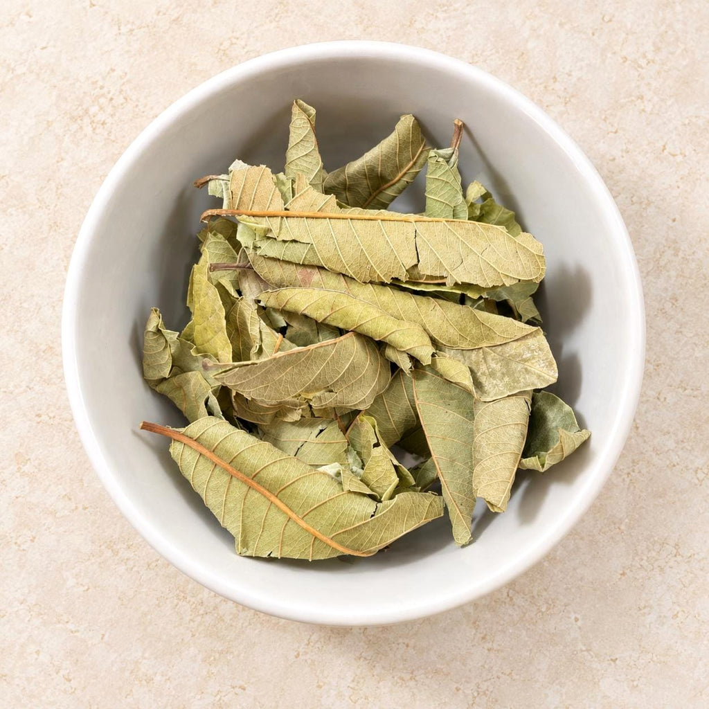 Hoja de Guayaba | Guava Leaves