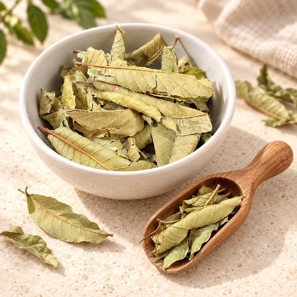 Hoja de Guayaba | Guava Leaves