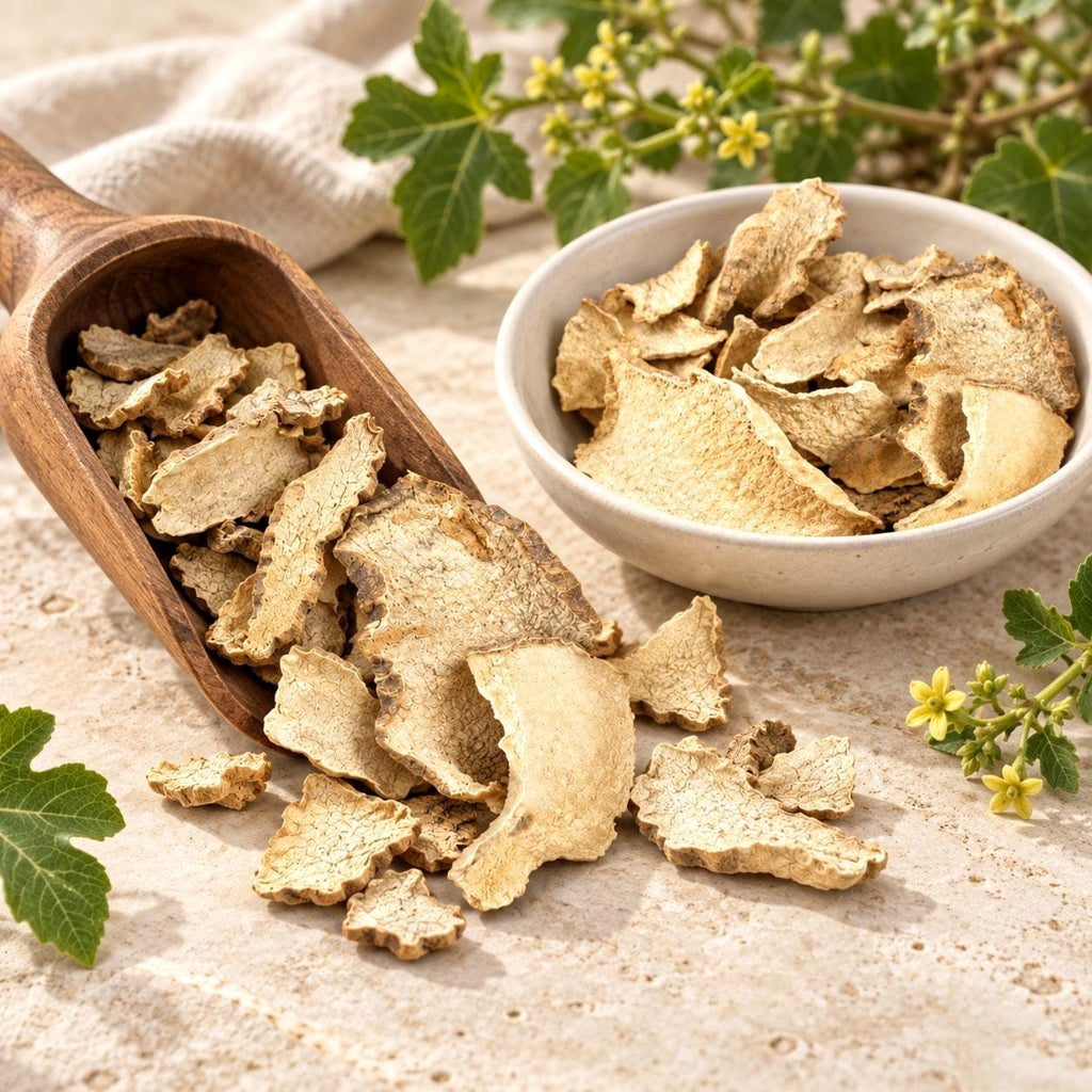 Wereke Root | Whole Cut