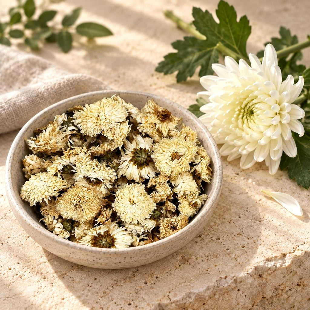 White Chrysanthemum Flowers