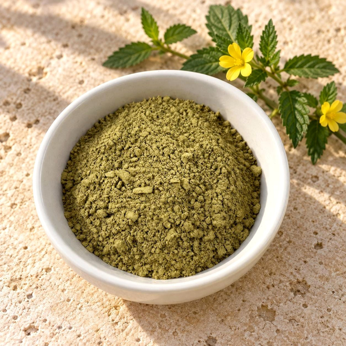 Damiana Leaf Powder