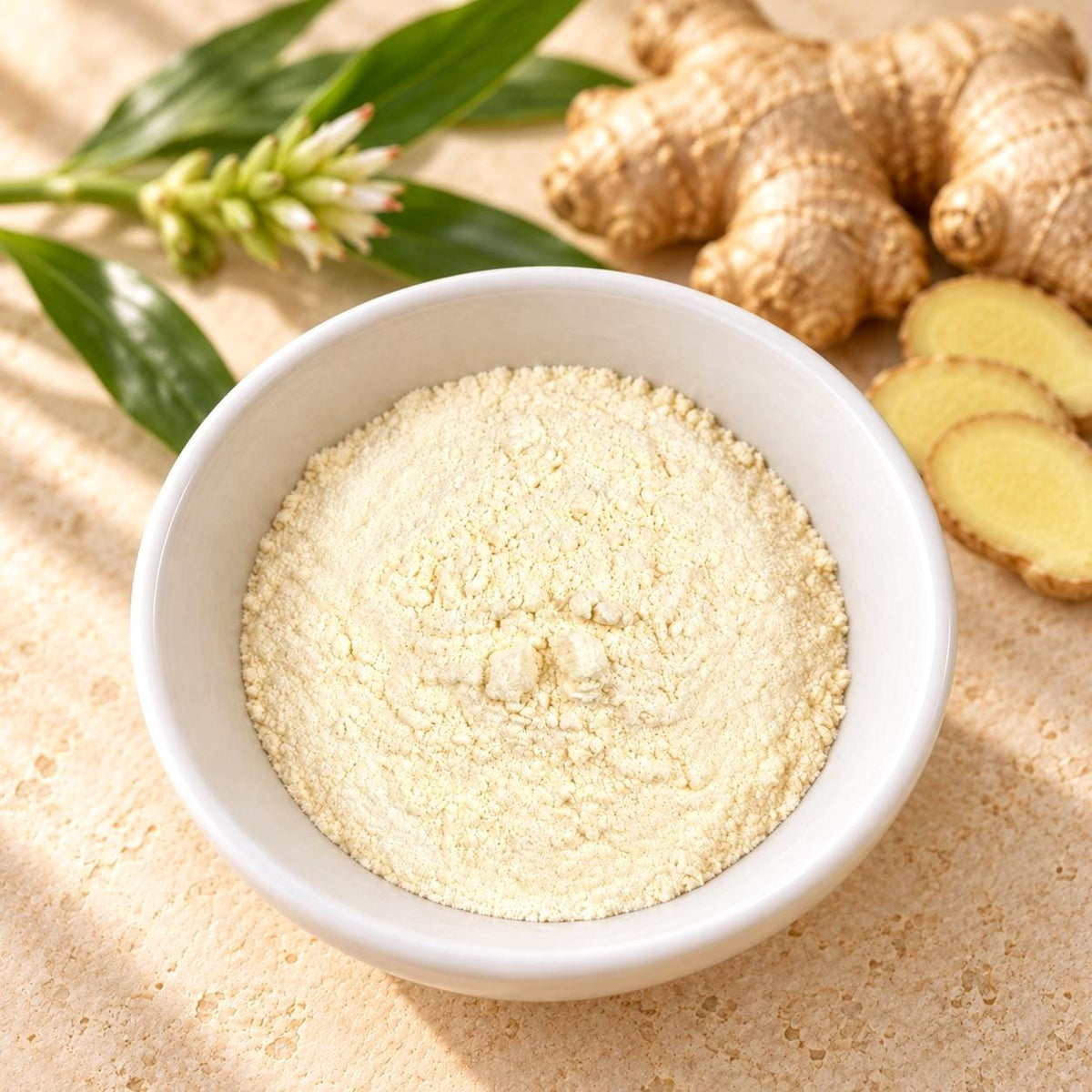 Ginger Root Extract 4:1