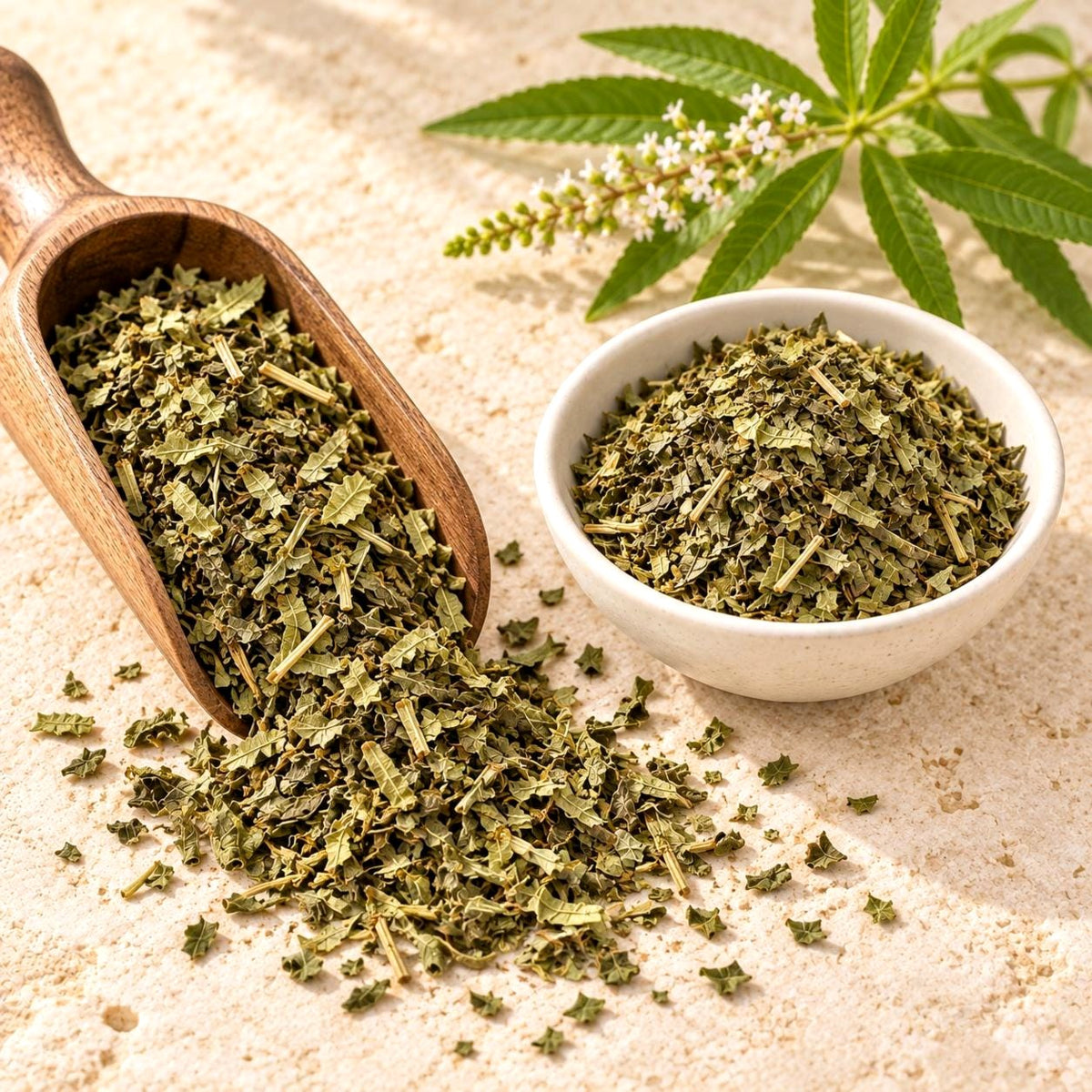 Lemon Verbena | Rough Cut