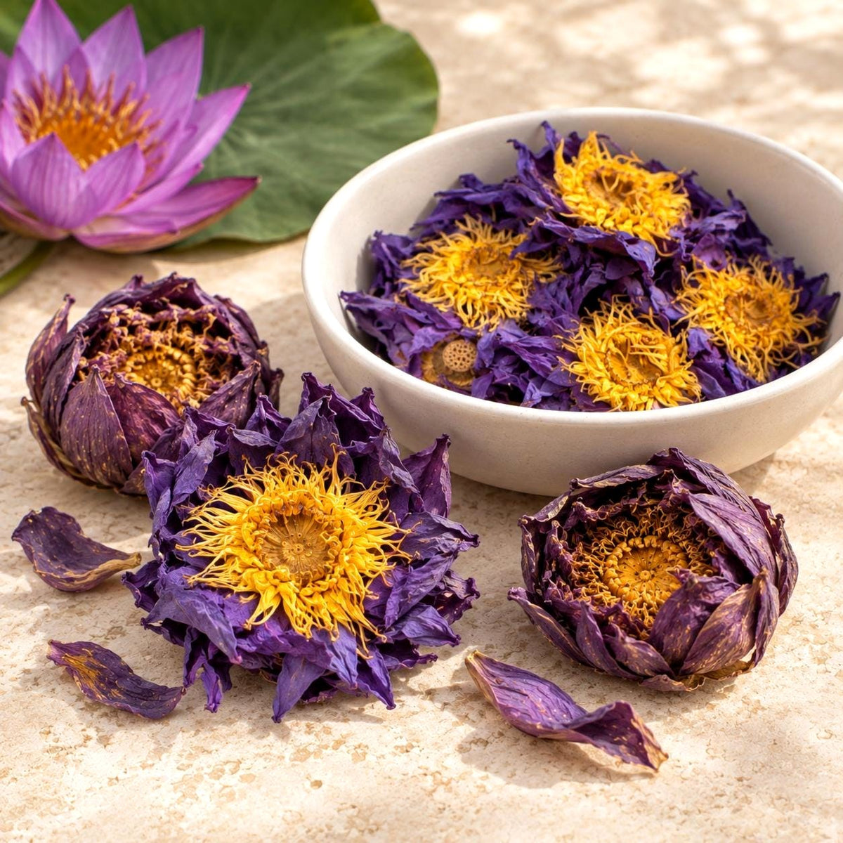 Purple Lotus Whole Flowers
