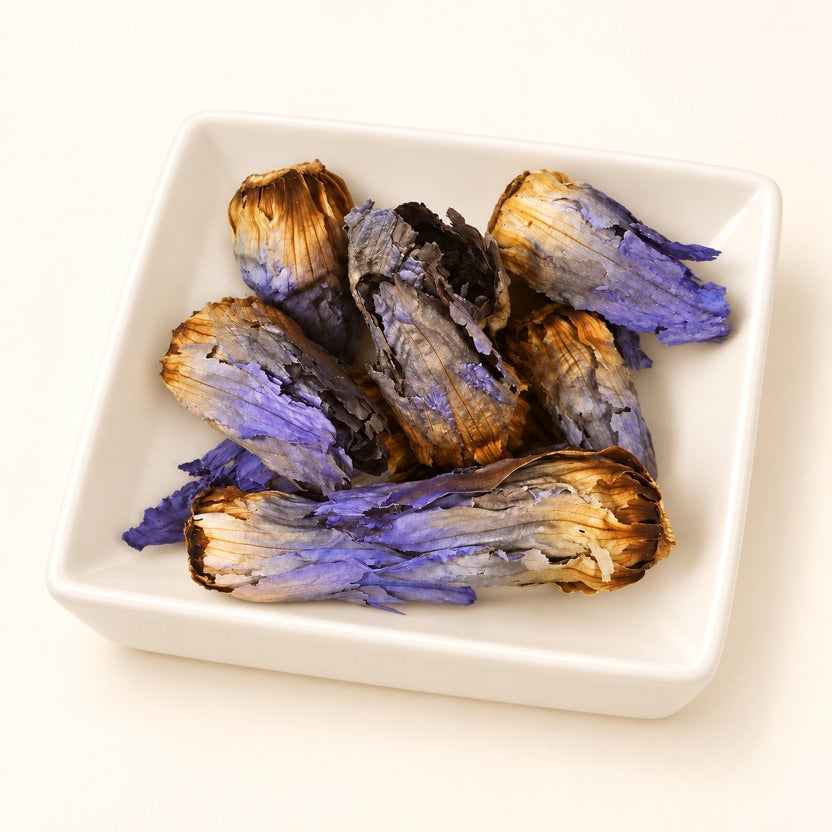 Blue Lotus Bulb Flowers — alternate view