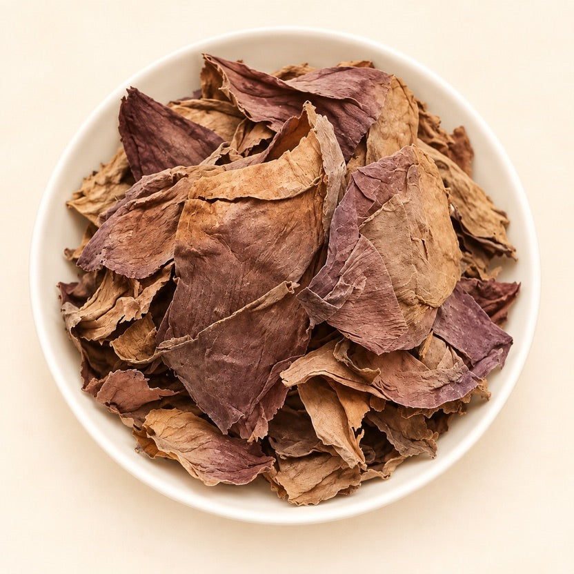 Sacred Lotus Petals — alternate view