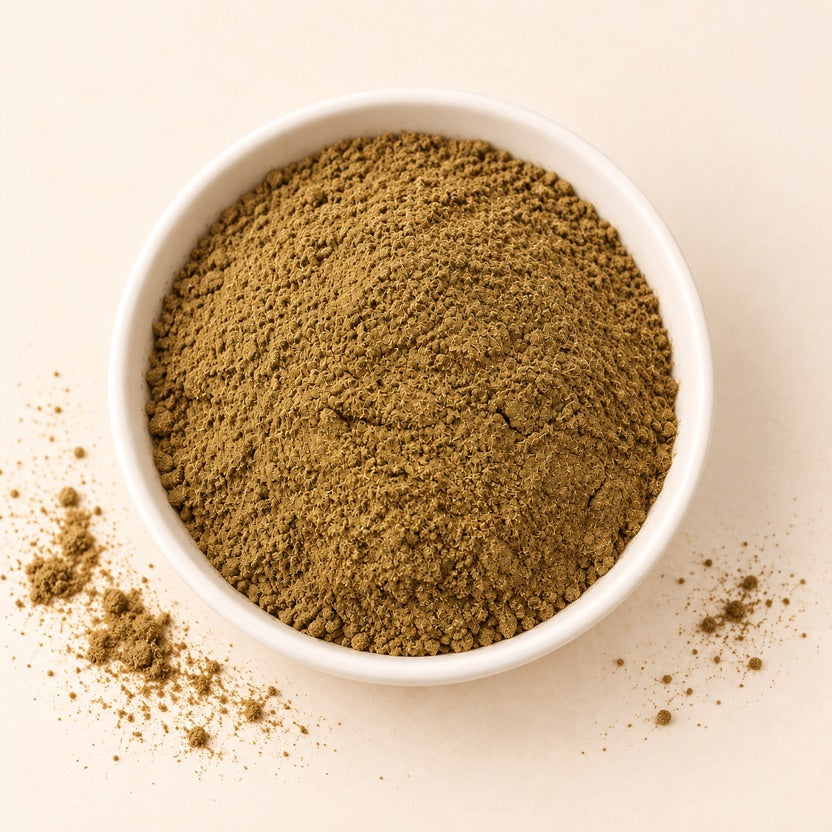 Mimosa Pudica Powder — alternate view
