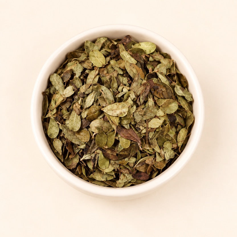 Uva Ursi Leaf — alternate view
