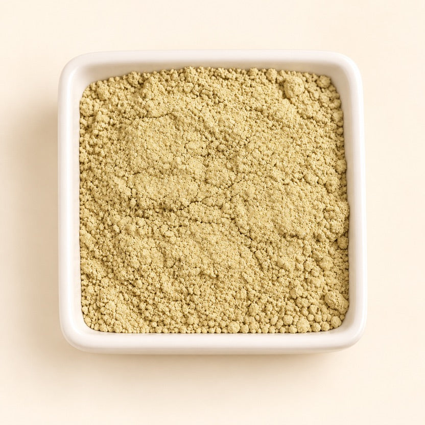 Echinacea Purpurea Root Powder — alternate view
